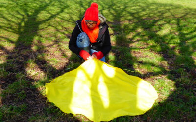 Turning creative curiosity into regenerative action